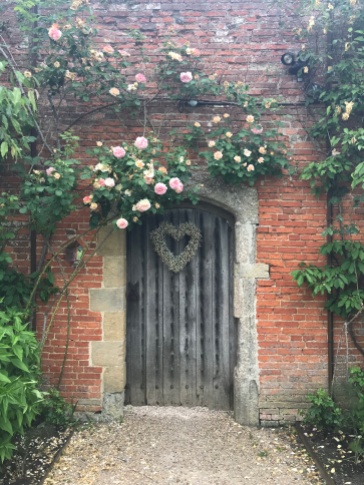 Climbing roses over the garden door